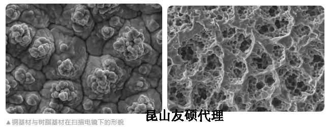 株洲蔡司株洲扫描电镜